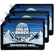 Cooler Shock 3X Lg. Zero°F Cooler Freeze Packs 10